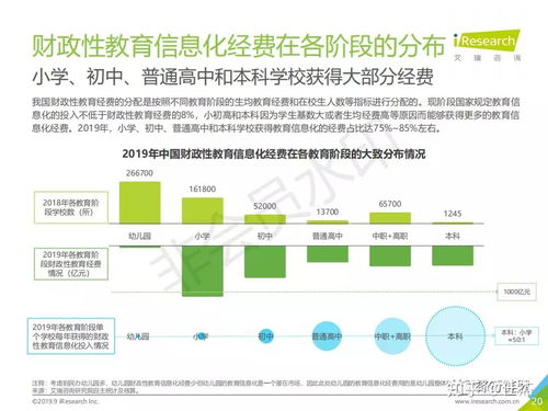 2019年中國教育信息化行業研究報告 信息技術咨詢服務